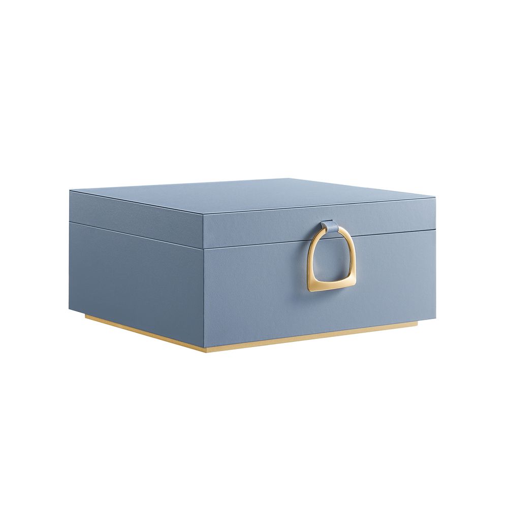 SONGMICS 2-Layer Jewelry Box with Handle and Removable Jewelry Tray