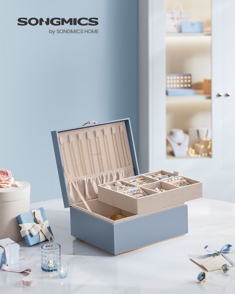 SONGMICS 2-Layer Jewelry Box with Handle and Removable Jewelry Tray