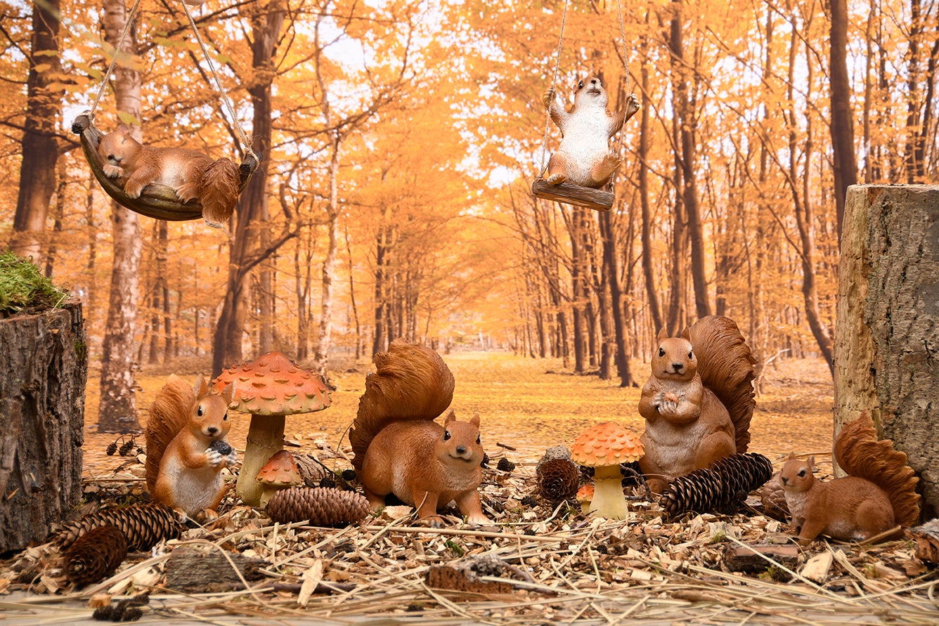 Squirrel Sitting L
