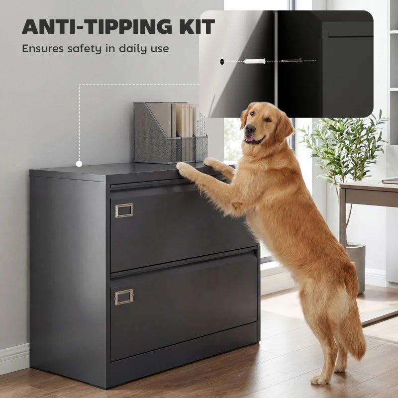 Lateral Filing Cabinet with 2 Drawers, Lockable Steel File Cabinet for A4/Letter/Legal Size Files, Black