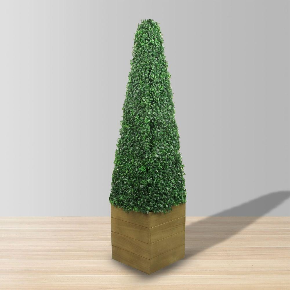 Mayer Potted Boxwood Topiary Plant (Multiple Sizes)