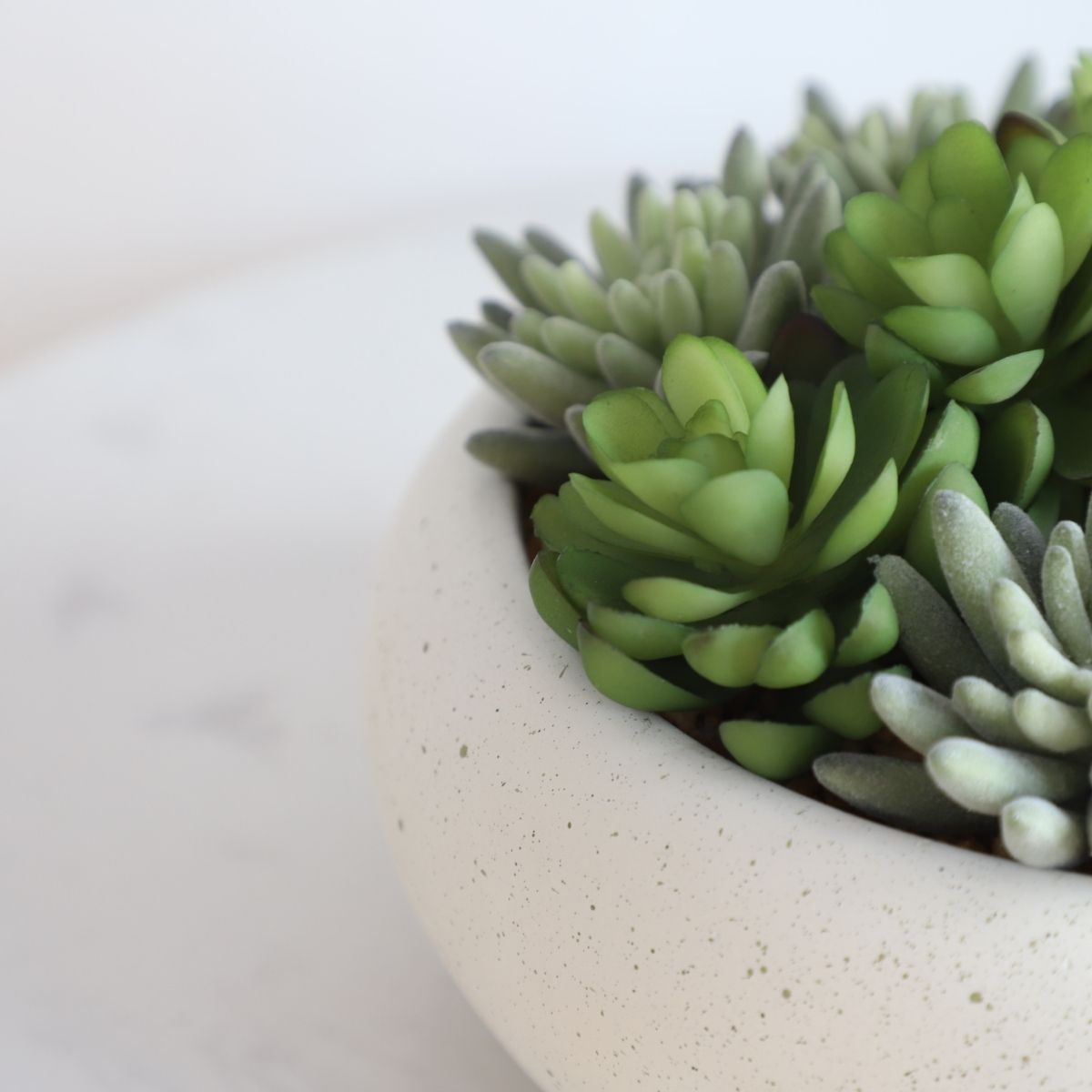 Zed Faux Succulent Arrangement in Low White Pot 7.1"