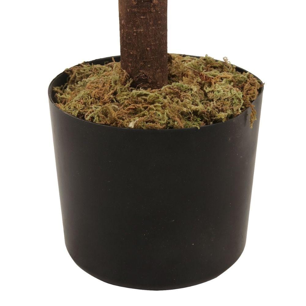 Sandy Potted Boxwood Topiary Plant 4.3'