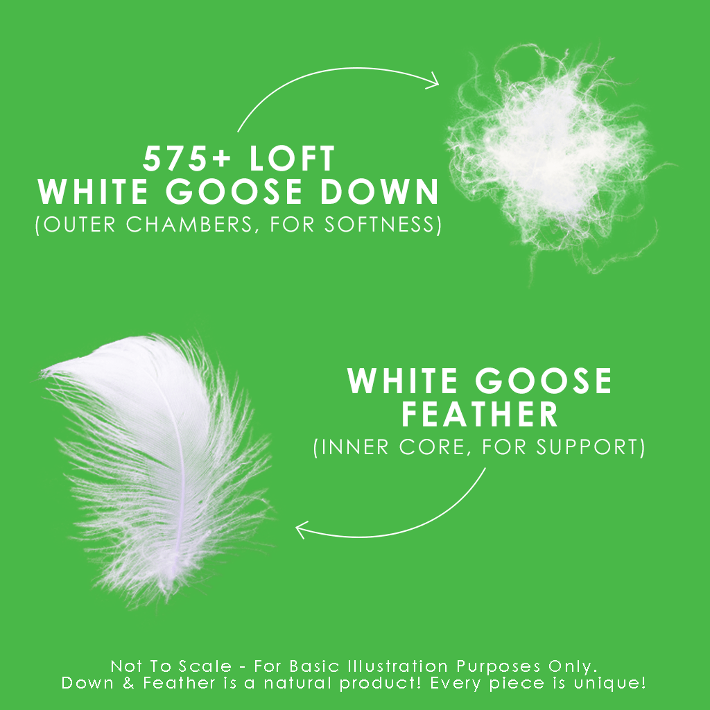 Down Perfect™ Cushions