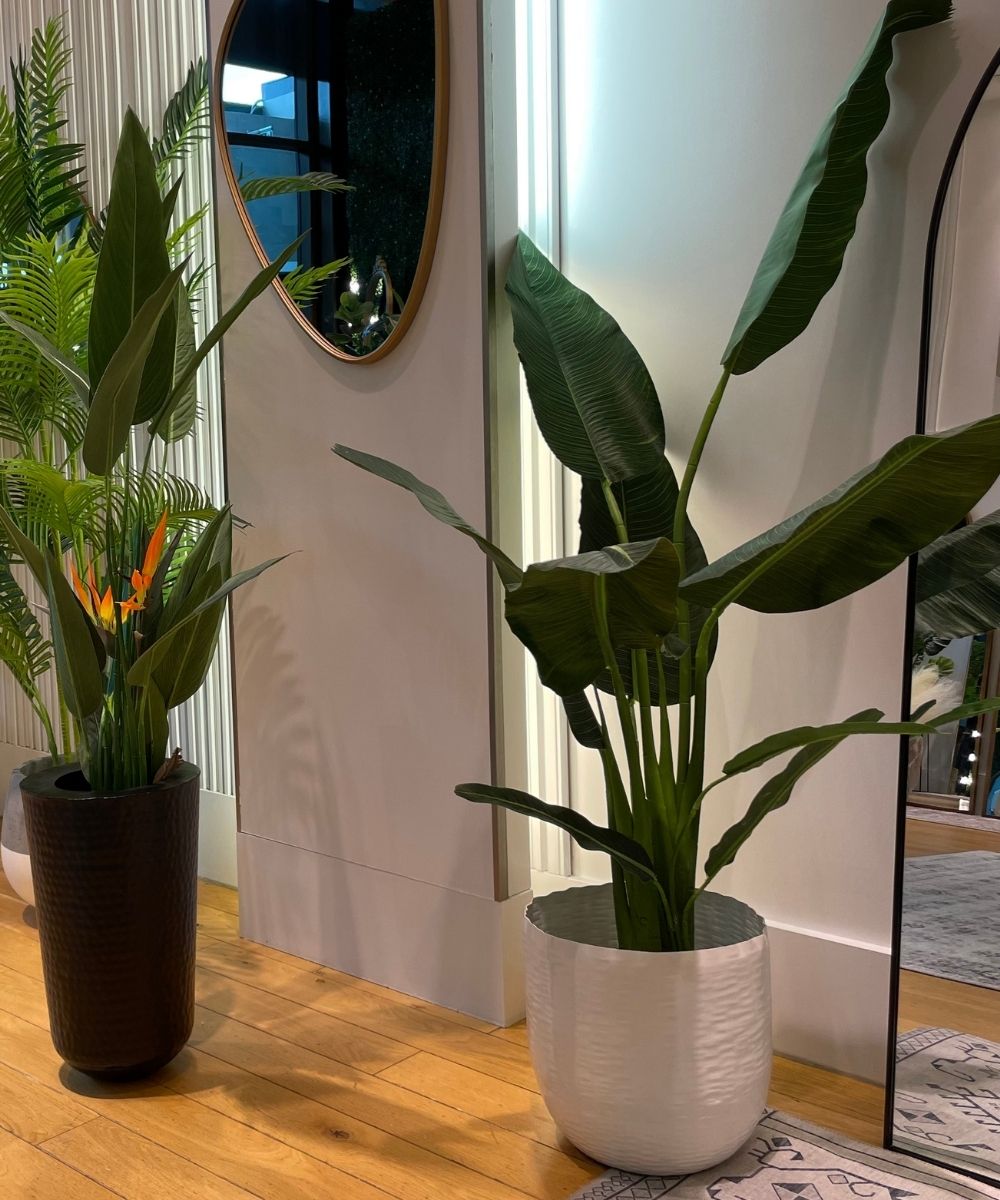 Chata - Brass Basket Planter (Multiple Sizes)