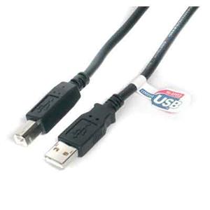 High Speed Certified USB 2.0 - USB cable - 4 pin USB Type A (M) - 4 pin USB Type B (M) - 3 m ( USB / Hi-Speed USB )