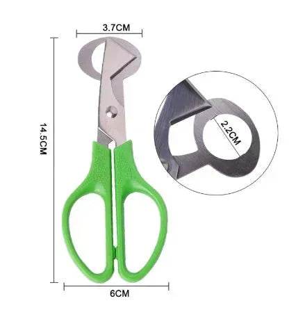 Pigeon Quail Egg Scissor Bird Cutter Opener Kitchen Tool
