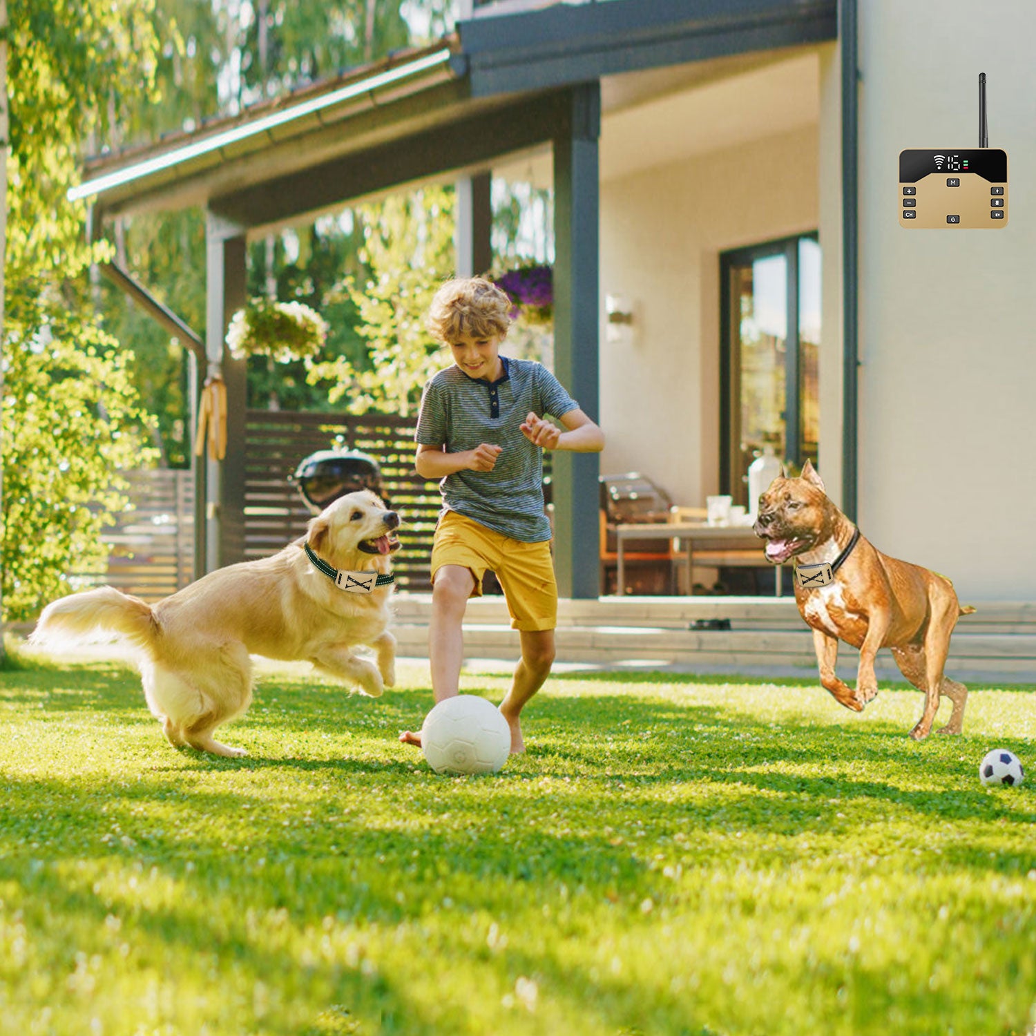 2 In 1 Wireless Electric Dog Fence Waterproof Pet Shock Boundary Containment System Electric Training Collar with 2 Receiver Collars for Small Medium