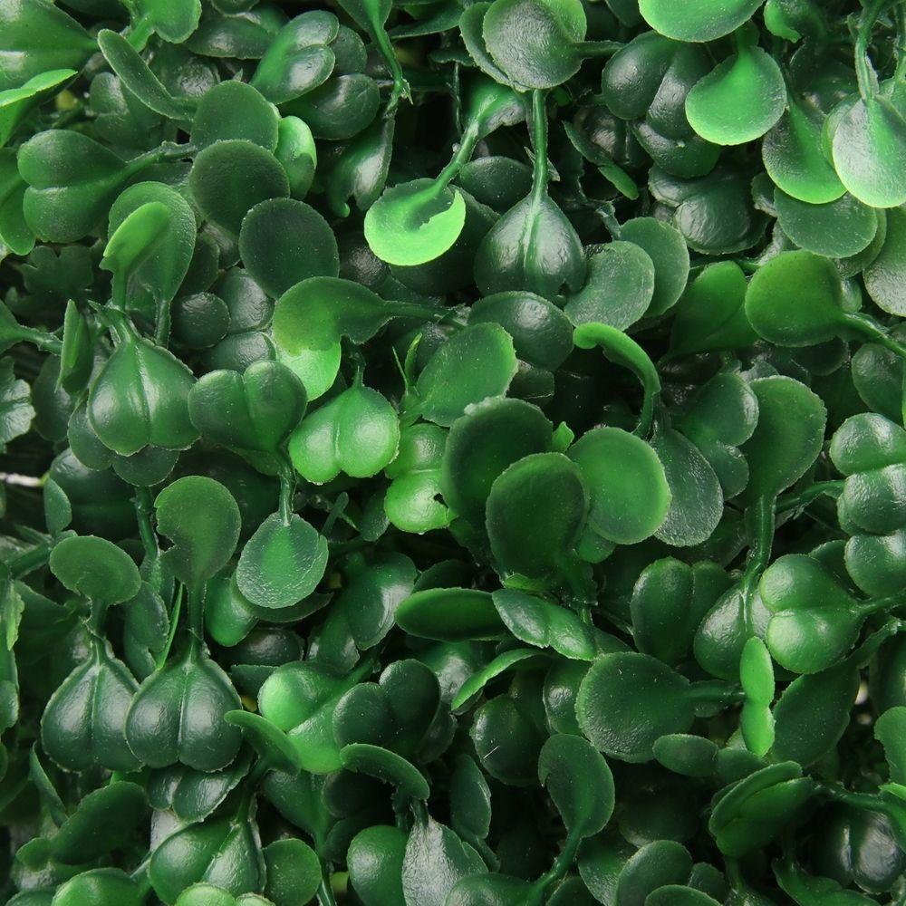 Mayer Potted Boxwood Topiary Plant (Multiple Sizes)