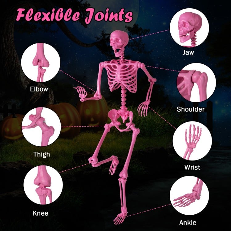 5.5 FT Life-Size Halloween Poseable Skeleton Pink Movable Joints