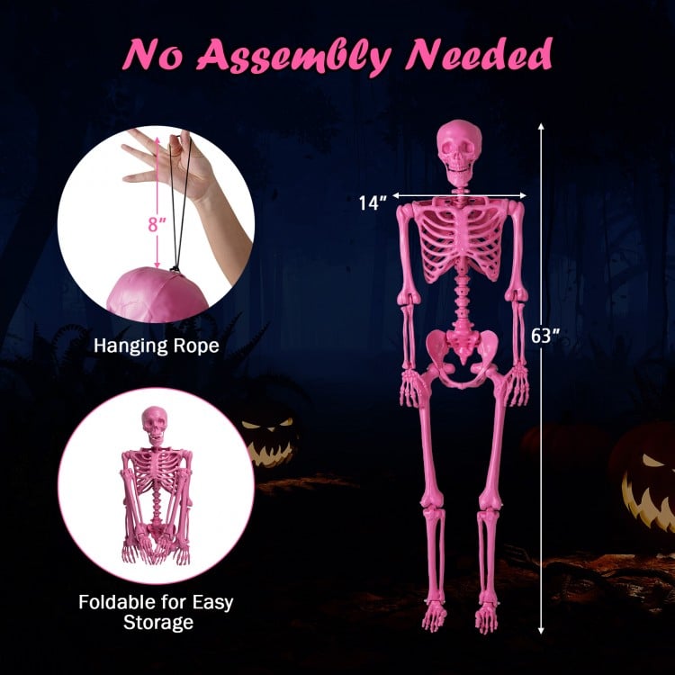 5.5 FT Life-Size Halloween Poseable Skeleton Pink Movable Joints