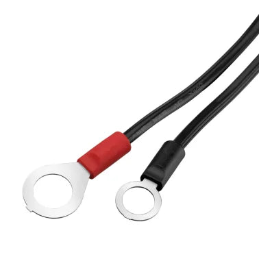 BLACK+DECKER™ Battery Maintainer/Trickle Charger