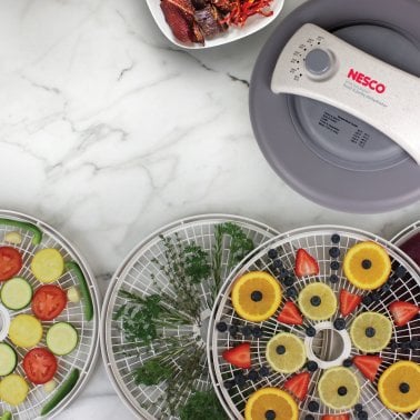 NESCO® 500-Watt Food Dehydrator