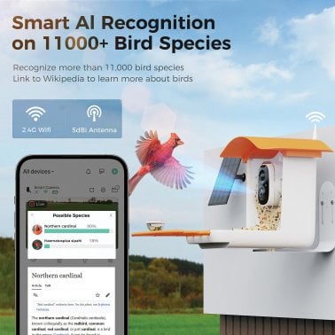 PerchMe™ Smart Bird Feeder with Camera (Mango Tango Awning)