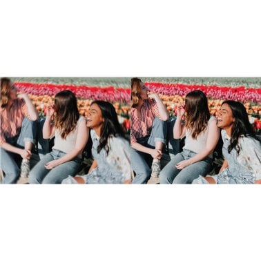 Minolta® MND20 16x Digital Zoom 44 MP/2.7K Quad HD Digital Camera (Black)