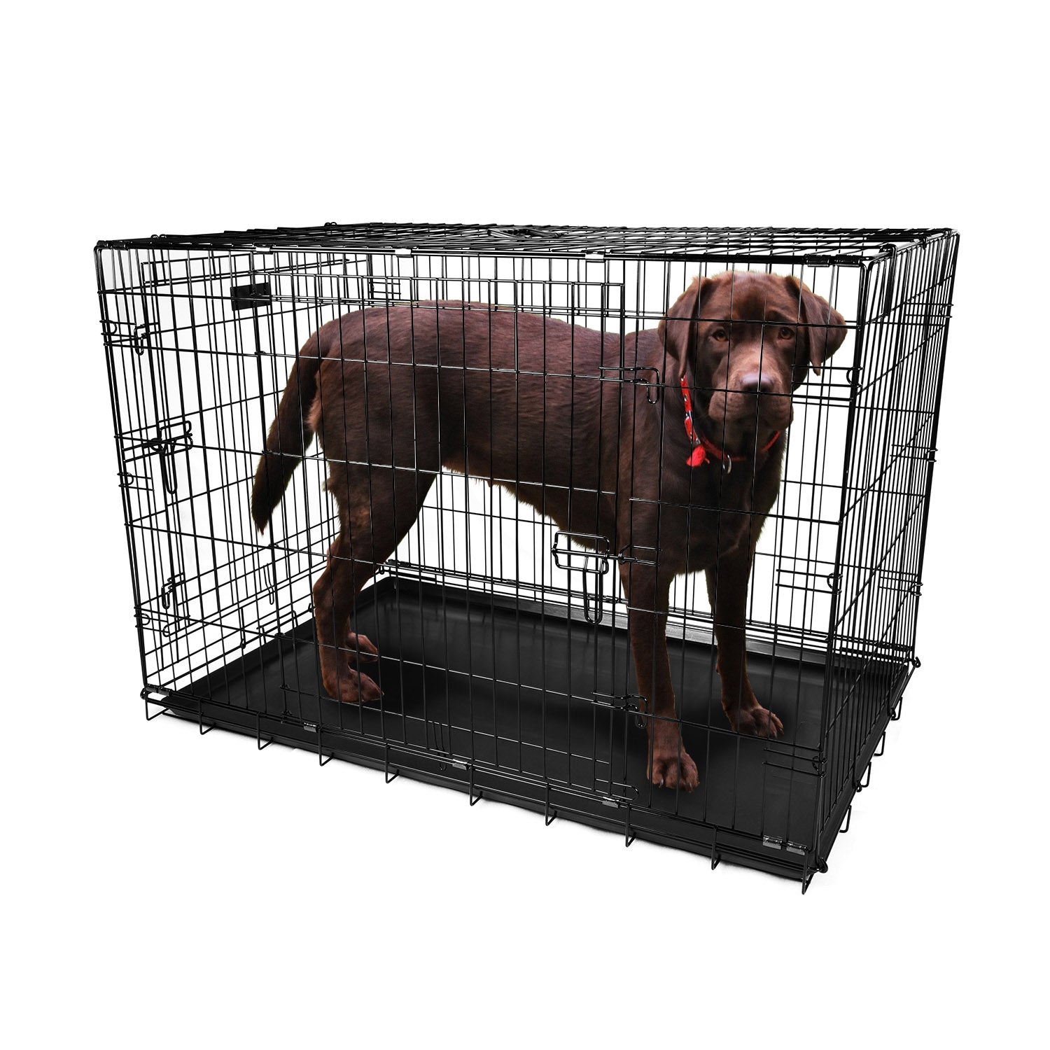 42inches Dogs Crate Folding Metal Pets Crates Double Door Puppy Cage Easy Set Up