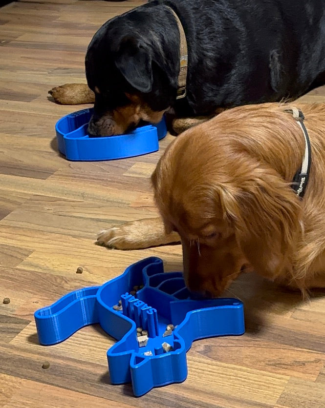 Personalized Slow Puzzle Feeder Bowl – C Series