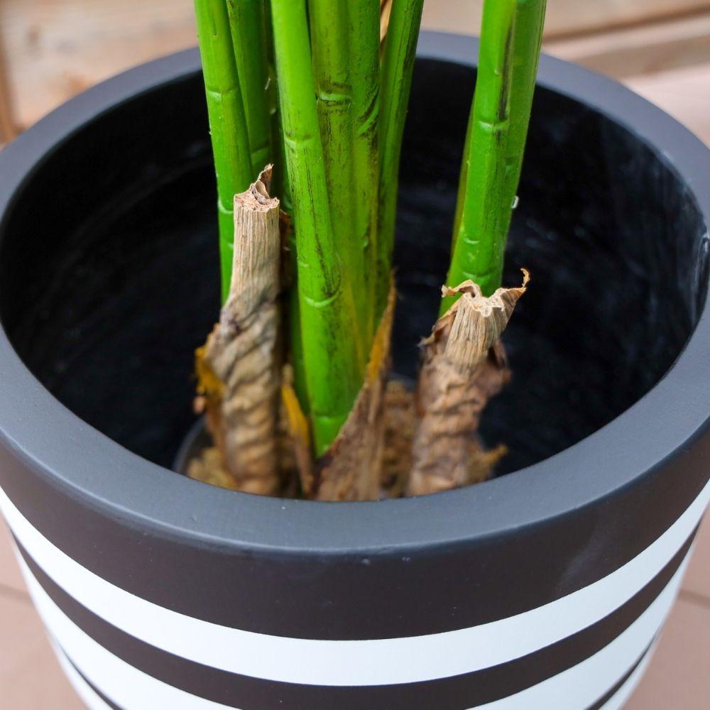 Rovos Cement Planter (Multiple Sizes)