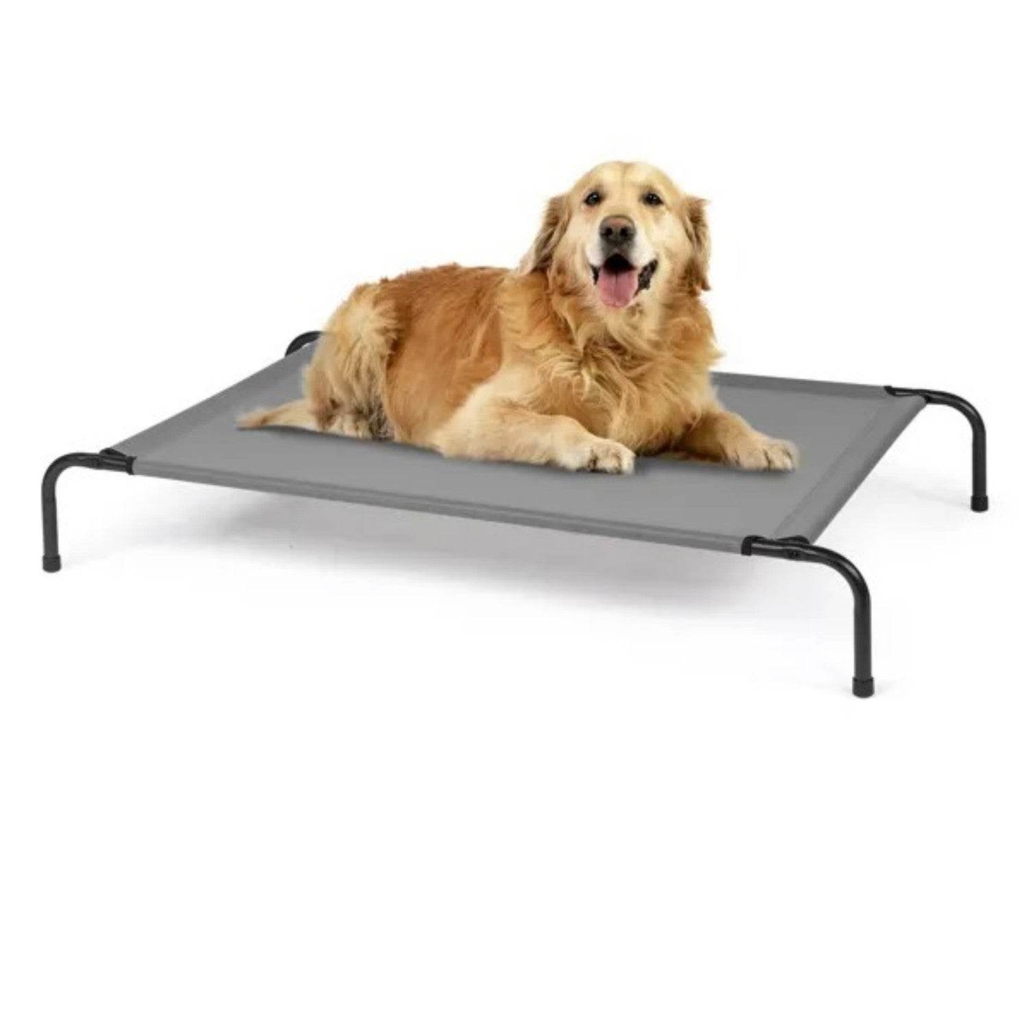 50D X 31W X 8H Dog Bed