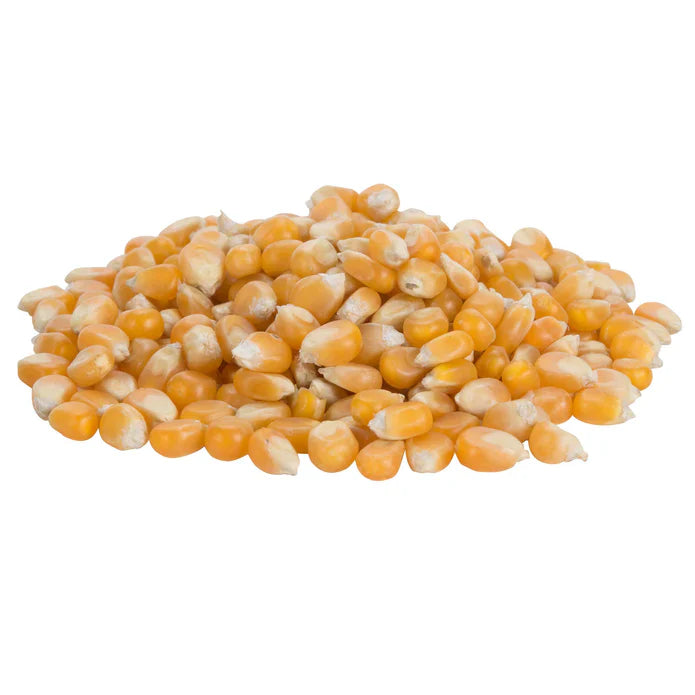 50 lbs Bulk Premium Mushroom Popcorn Kernels