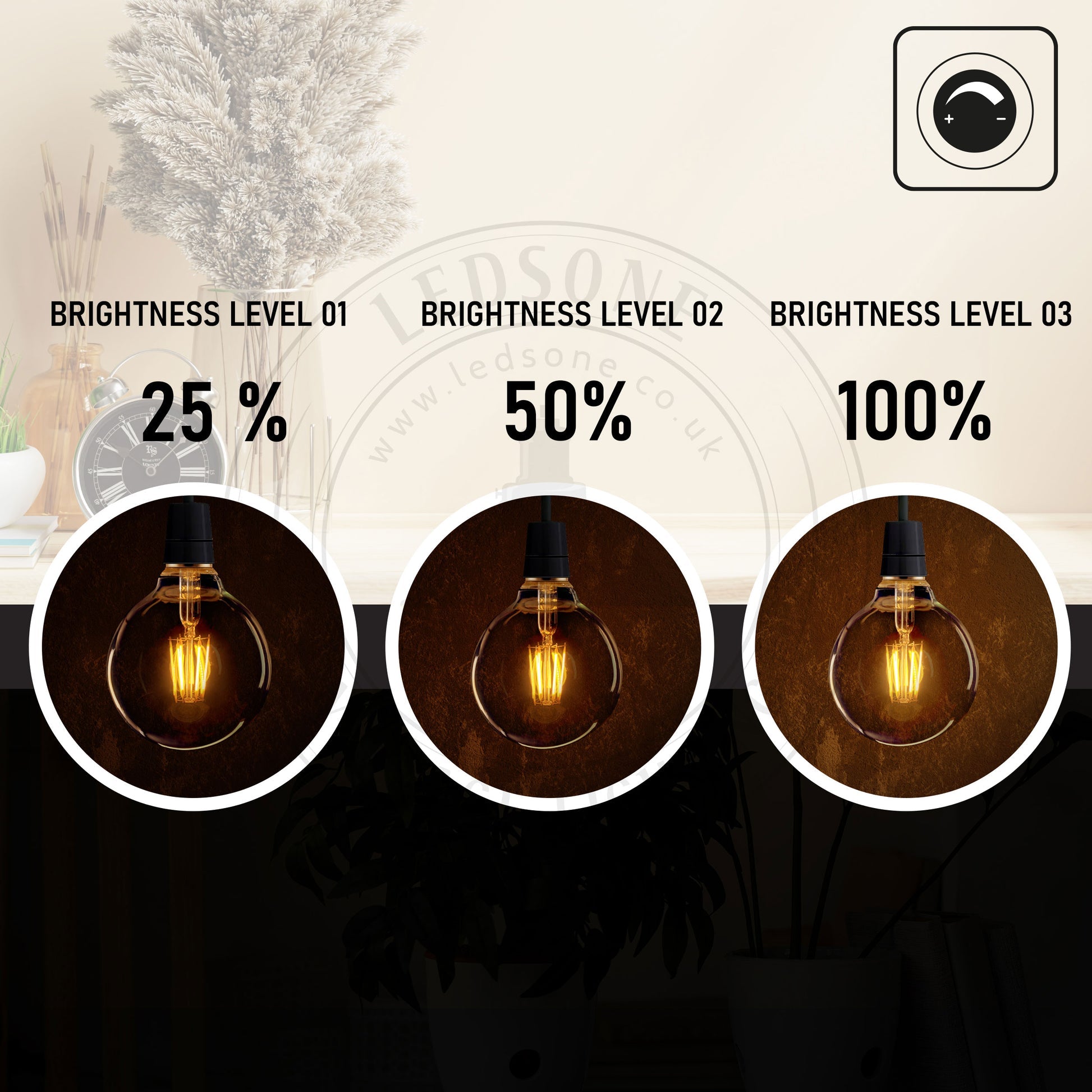 G95 E26 8W LED Edison Bulb Dimmable~1042