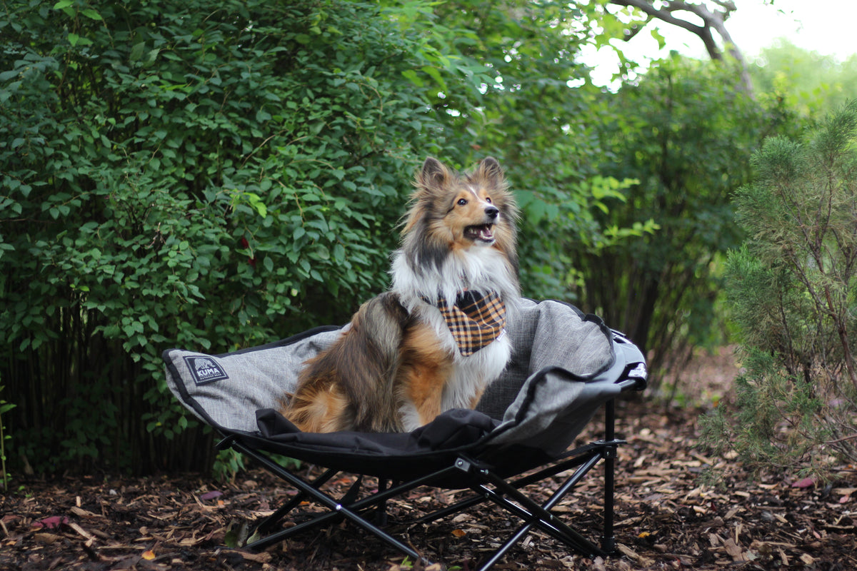Kuma Little Lazy Bear Dog Bed