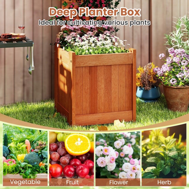 Outdoor Wooden Raised Garden Bed with Trellis