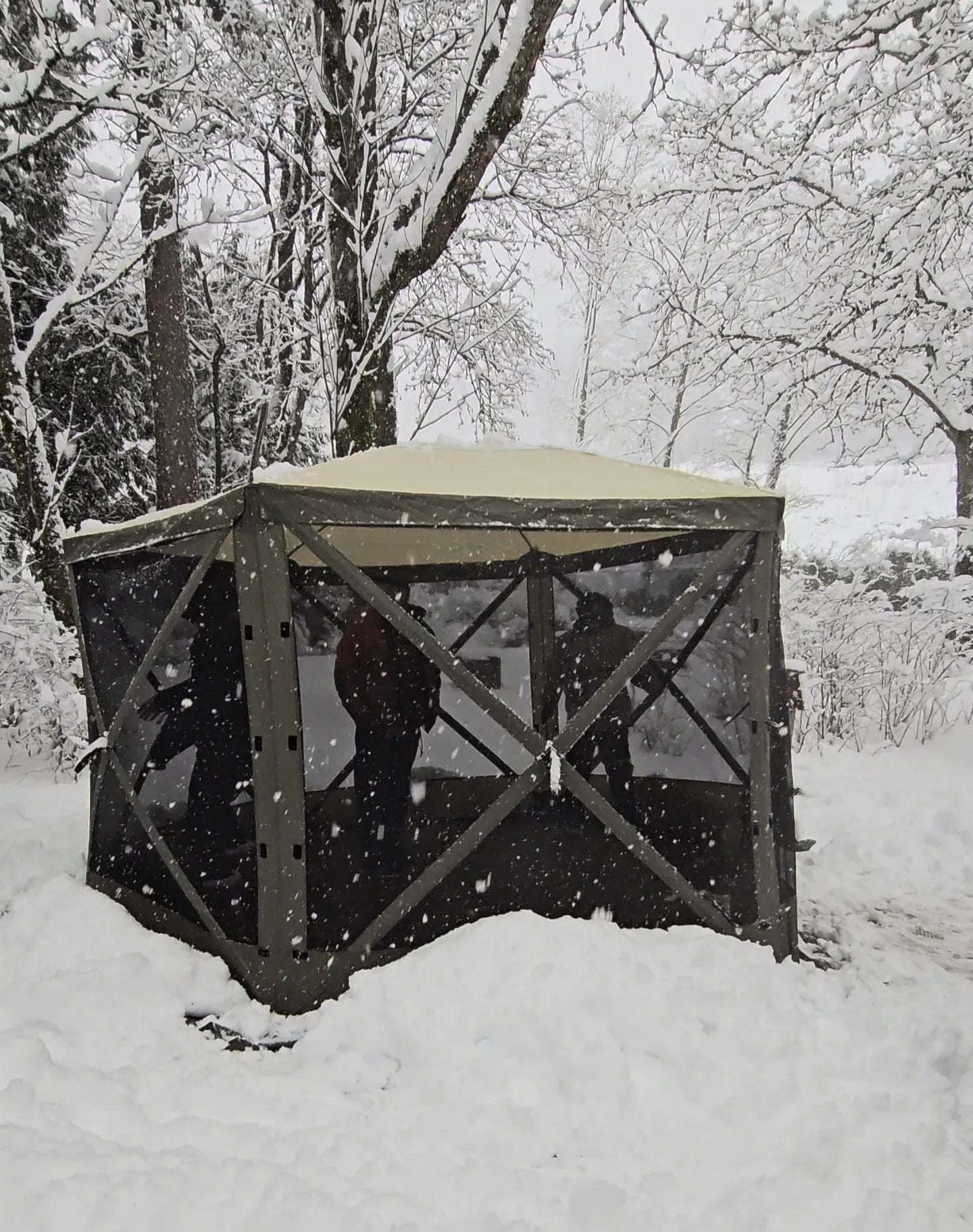 VEVOR Gazebo Screen Tent, 10 x 10 ft, 6 Sided Pop-up Camping Canopy Shelter Tent with Mesh Windows, Portable Carry Bag, Ground Stakes, Large Shade Tents for Outdoor Camping, Lawn and Backyard