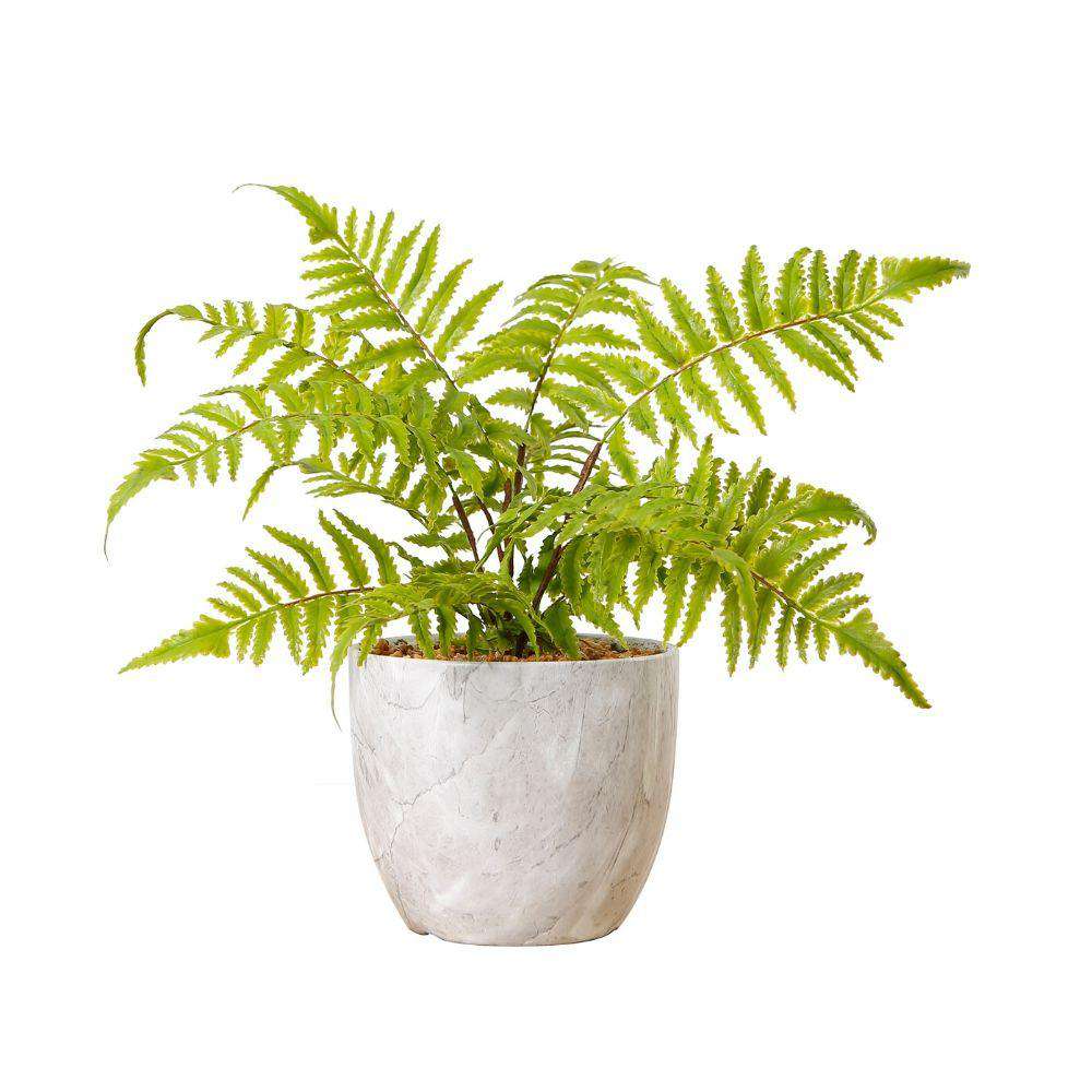 Bera Potted Faux Fern