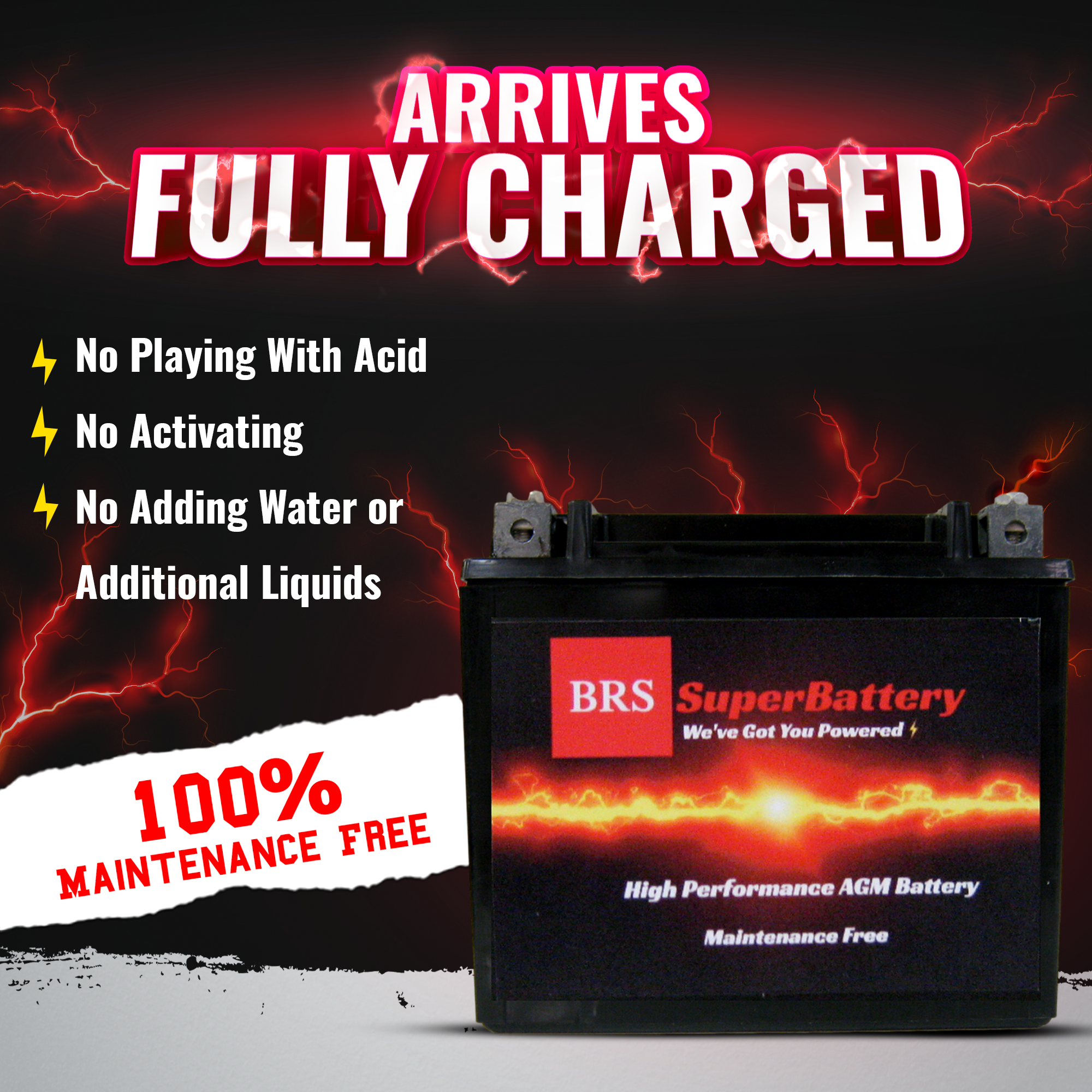 BRS30L-BS 30 Day Warranty Battery & Smart Charger / Maintainer Combo Bundle Kit