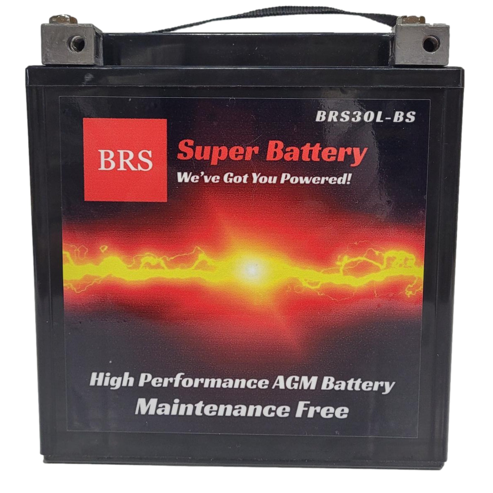 BRS30L-BS 30 Day Warranty Battery & Smart Charger / Maintainer Combo Bundle Kit