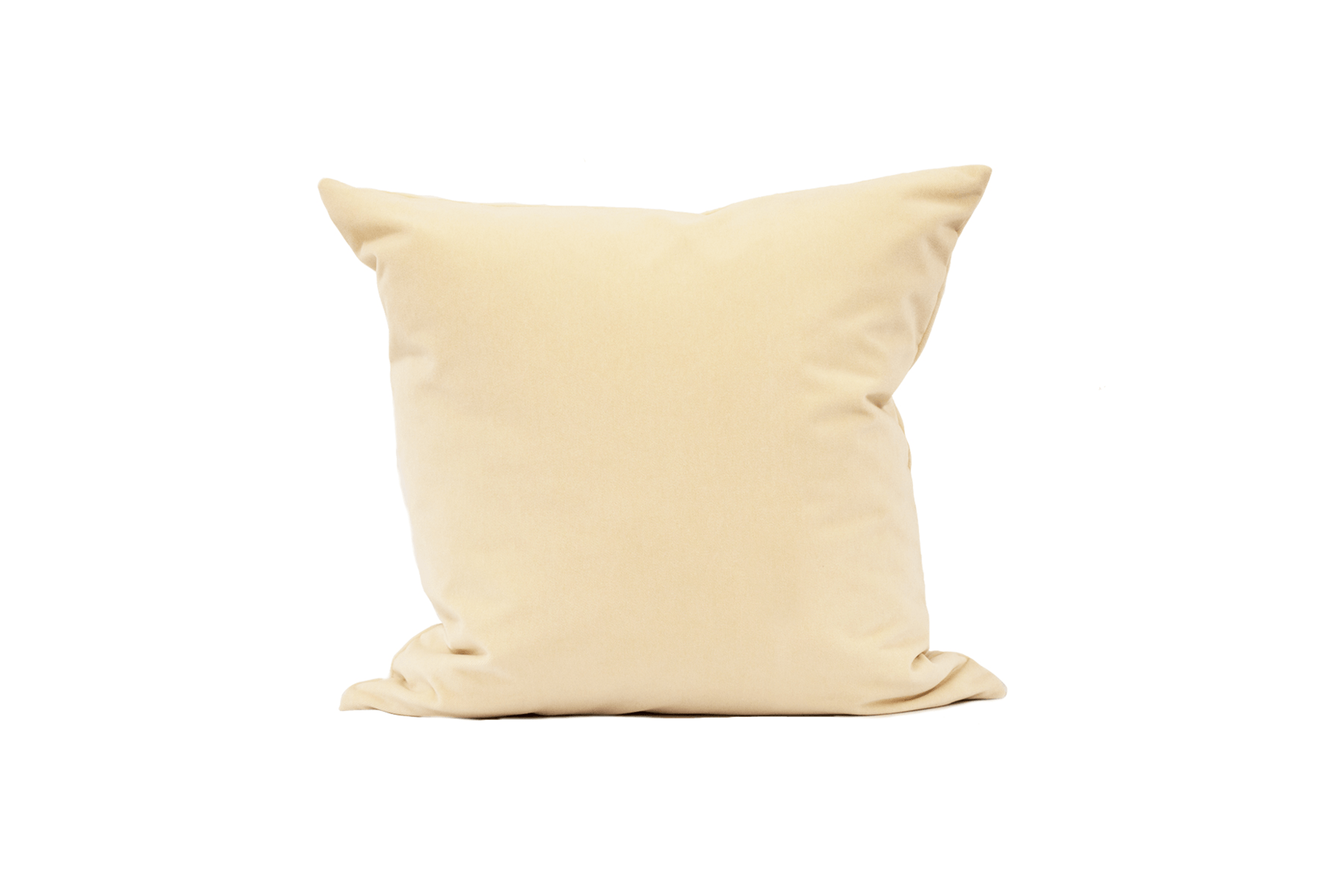 Brie Velvet Cushion Cover