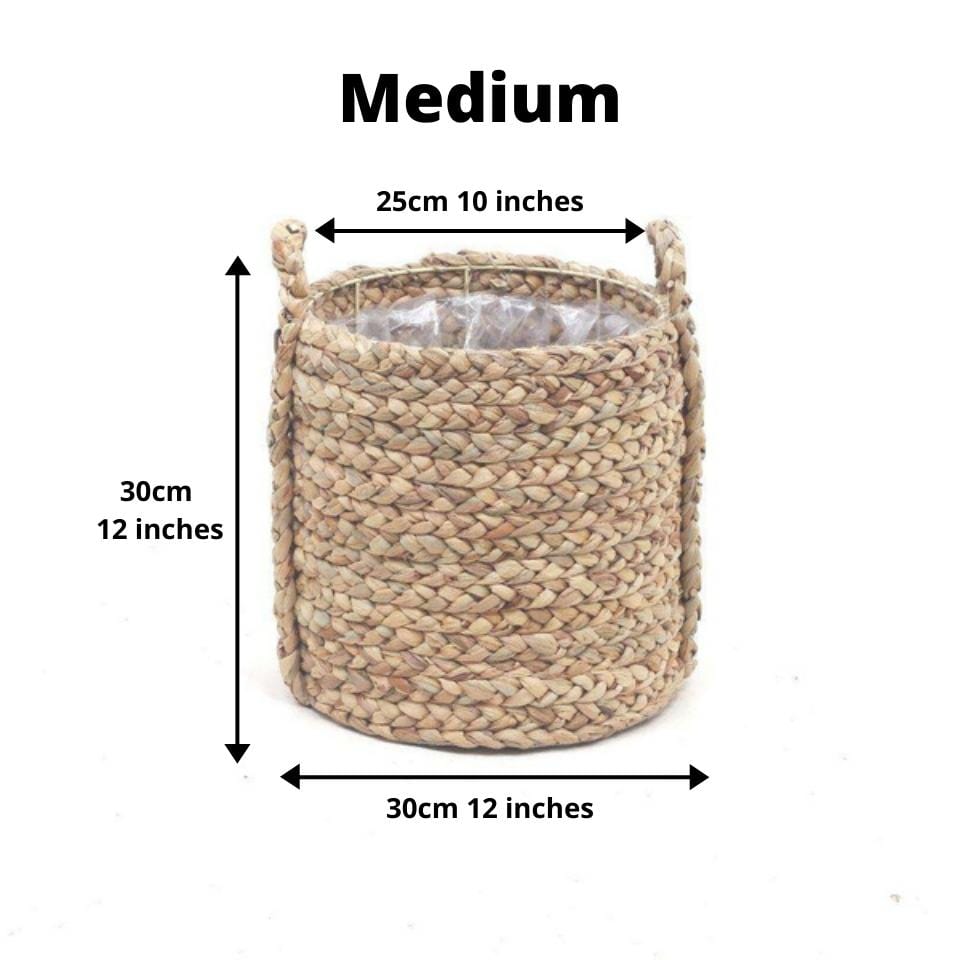 Cece - Water Hyacinth Planter