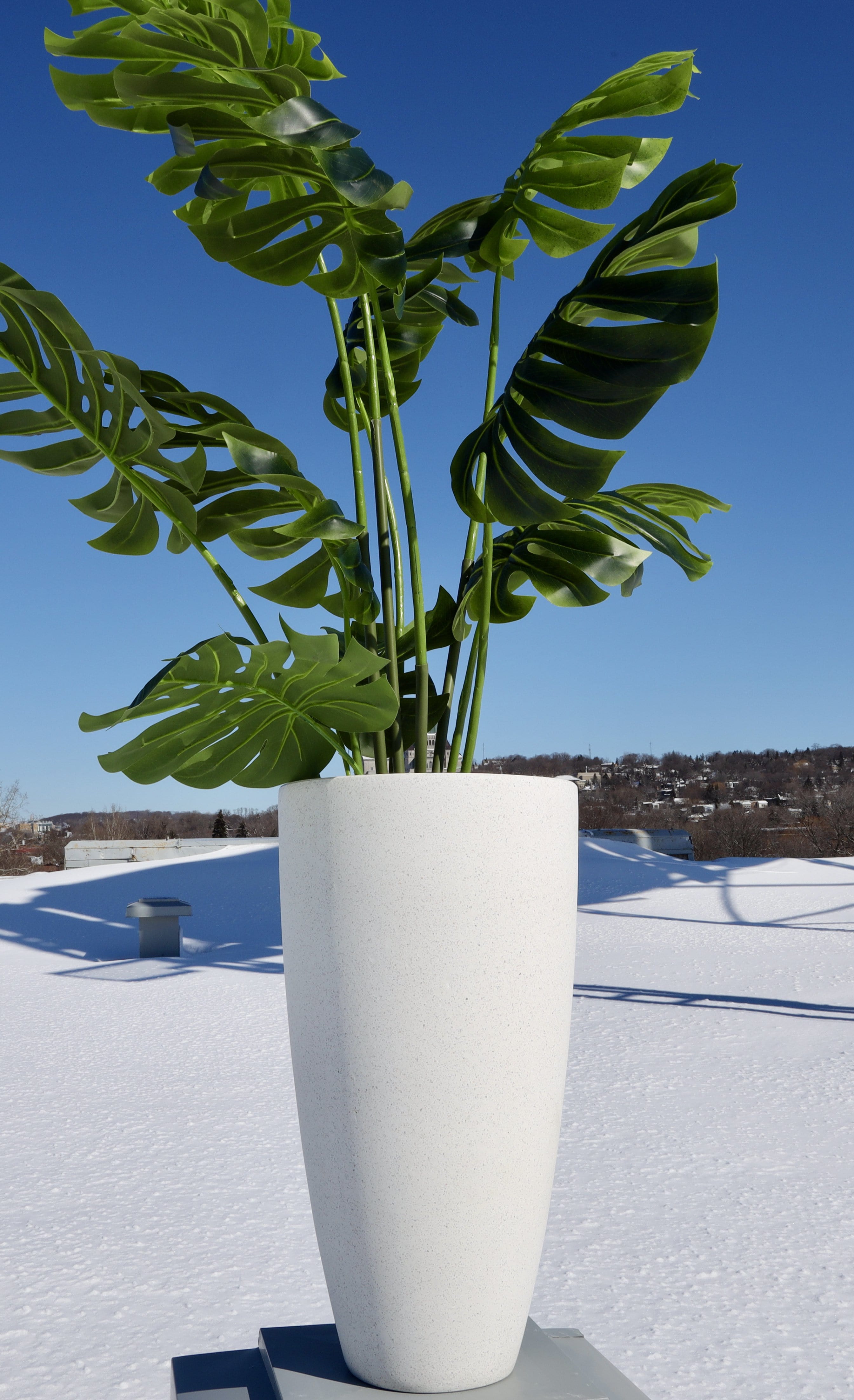 Lazio White Cement Planter (Multiple Sizes)
