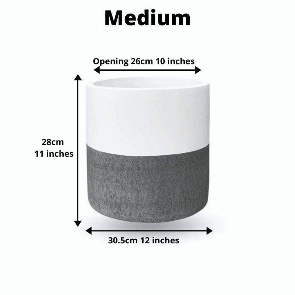 Coba Cement Planter (Multiple Sizes)
