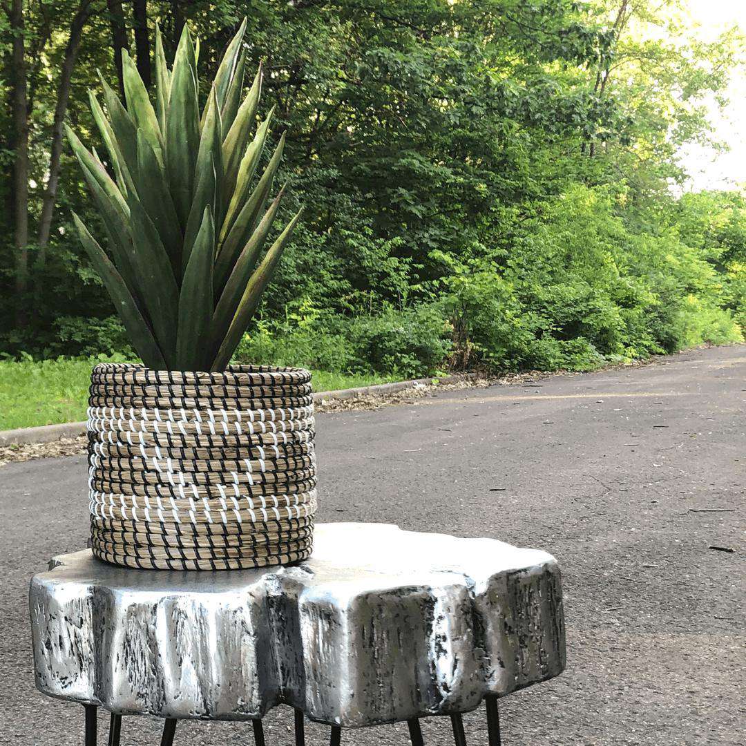 Cobra - Seagrass Planter