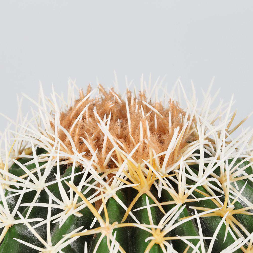 Coco Artificial Cactus Potted Plant 11"