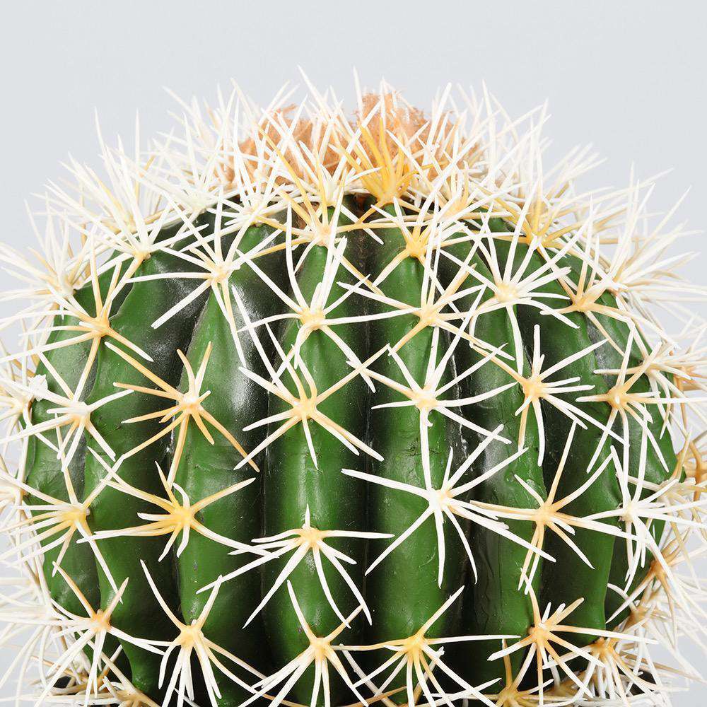 Coco Artificial Cactus Potted Plant 11"