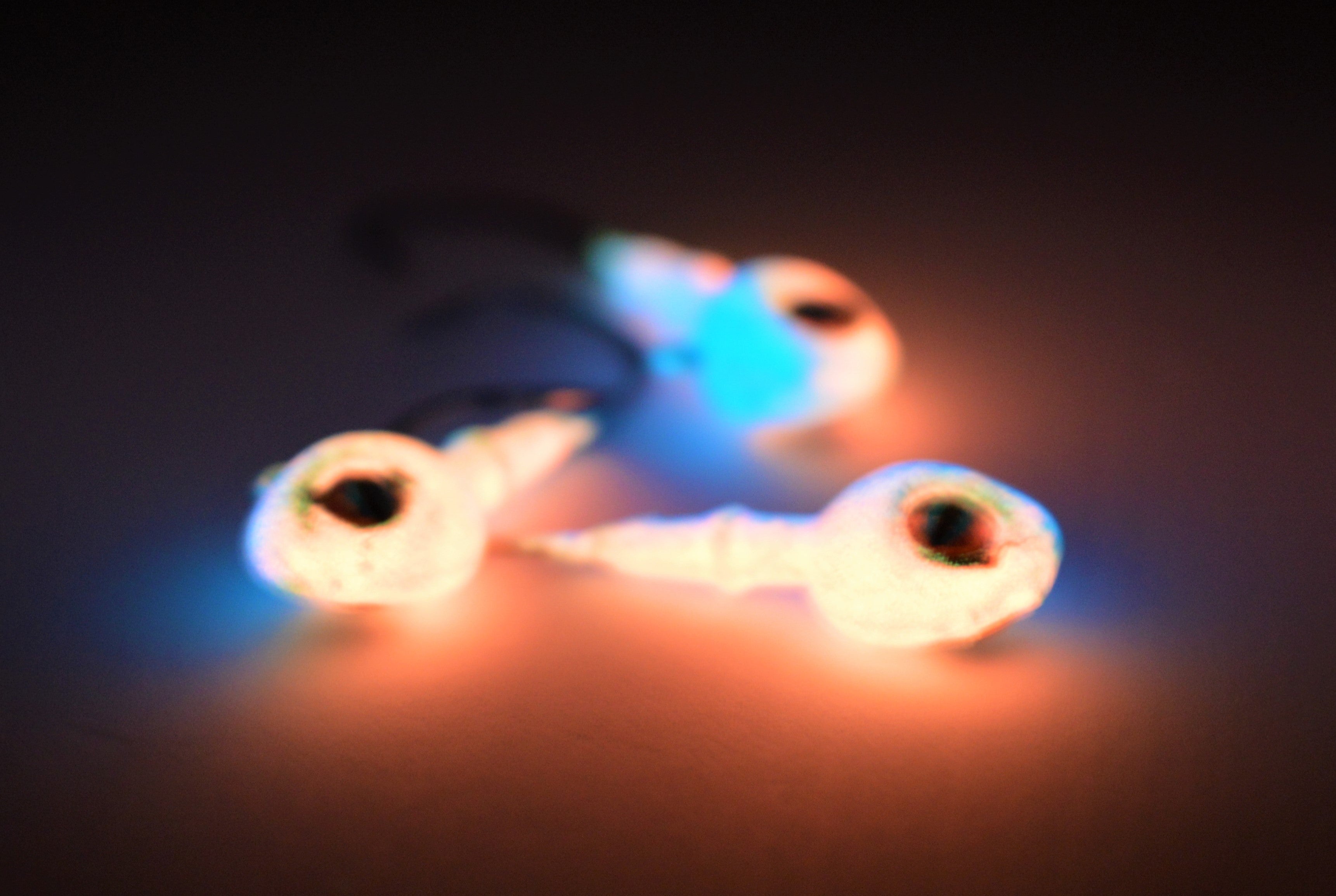 Big Sky Snake Eye 1/4oz Glow Jigs 3/pack