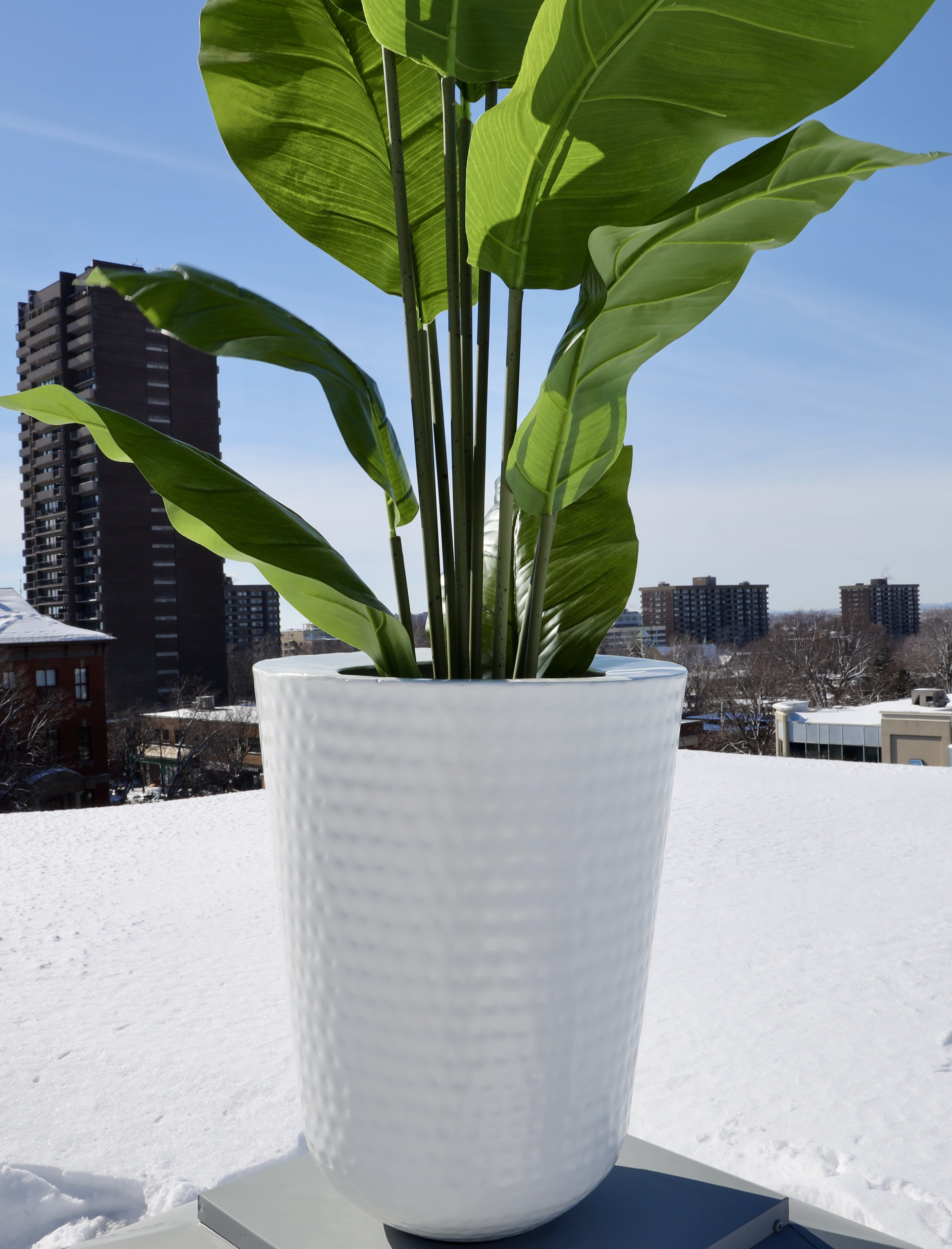 Ora - White Brass Planter