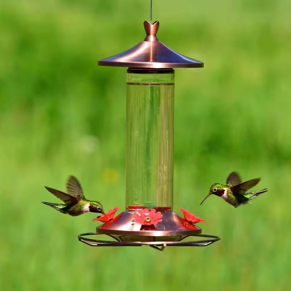 12 oz. Nectar Capacity Glass Tube Hummingbird Feeder with Copper Lid and Base - Free Shipping
