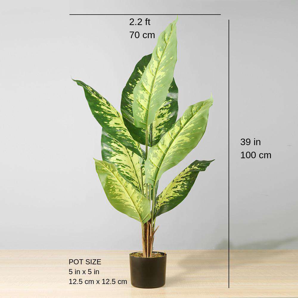 Eren Artificial Evergreen Potted Plant 39''