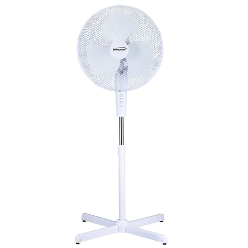Kool Zone 16" Oscillating Fan- White - Free Shipping