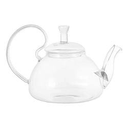13.5oz/400 ml Glass Teapot with Removeable Metal Spout Hanging Spring - Free Shipping