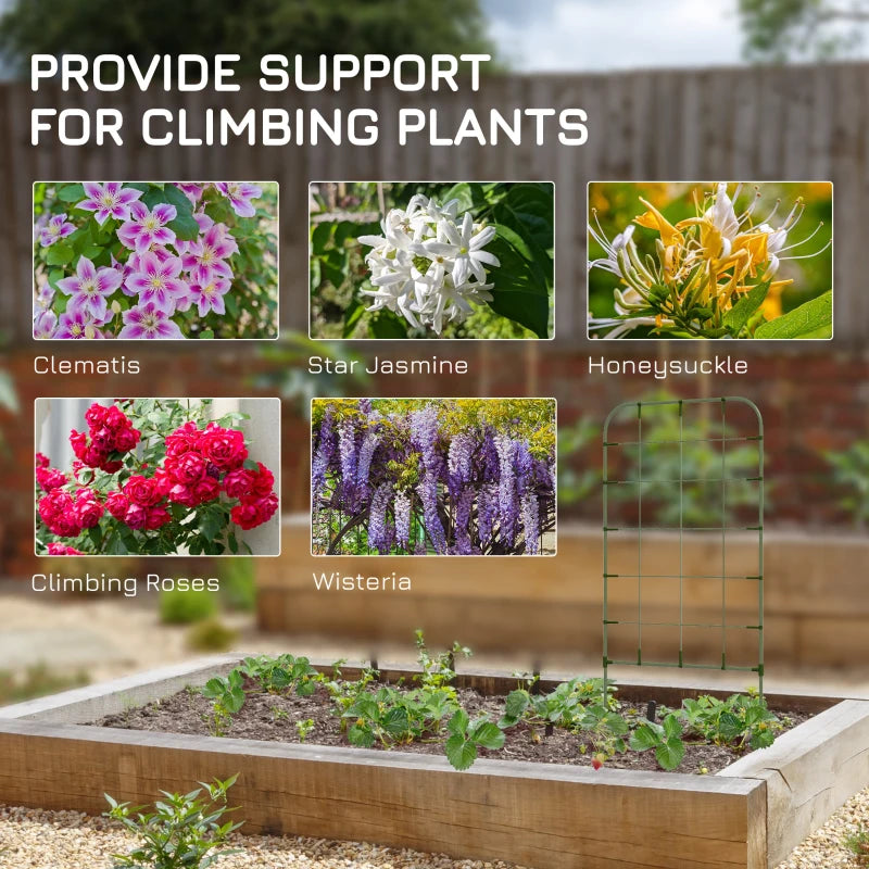 6-Piece Plant Support Set, Trellis for Climbing Plants, Garden Stakes, Steel, Green, 40 x 90 cm
