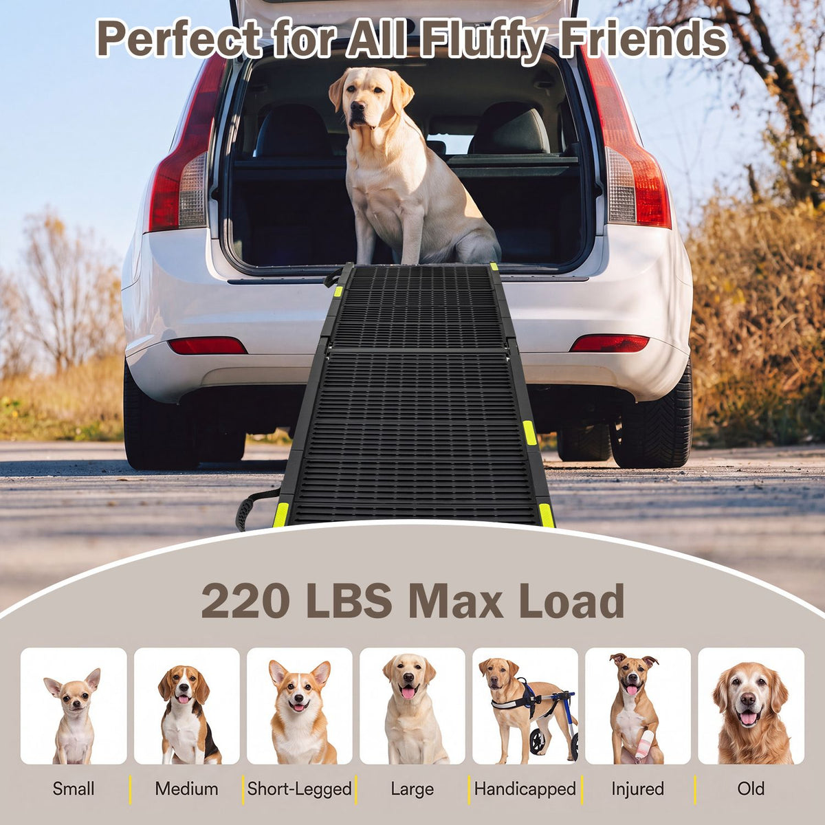 Folding Dog Ramp for Cars, SUVs & Trucks – 64.5" Non-Slip Pet Ramp with Safety Tether, 220 LBS Capacity