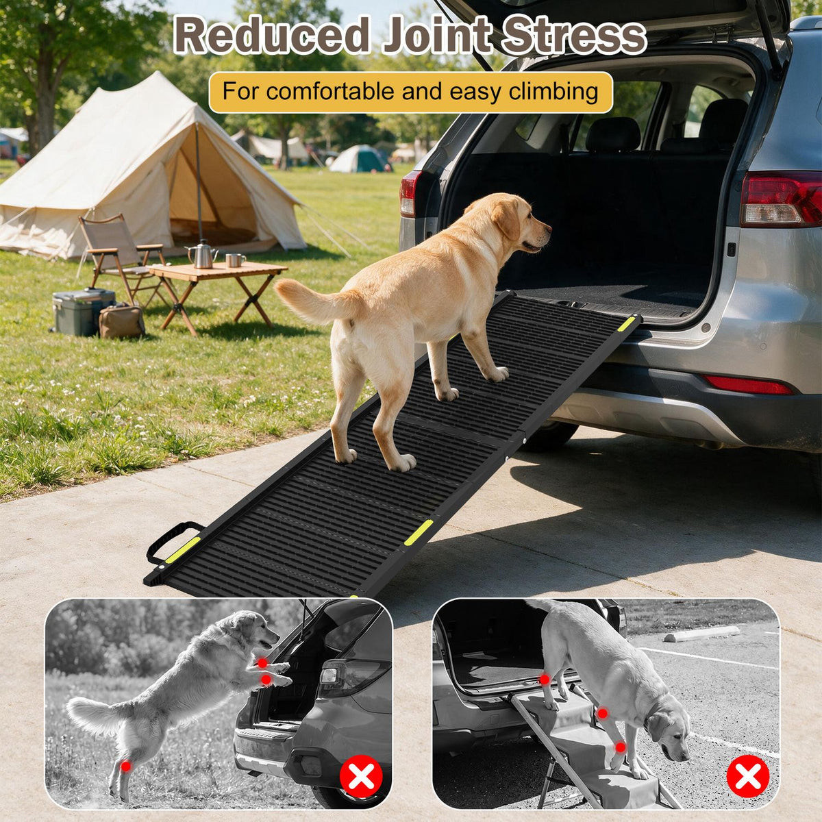 Folding Dog Ramp for Cars, SUVs & Trucks – 64.5" Non-Slip Pet Ramp with Safety Tether, 220 LBS Capacity