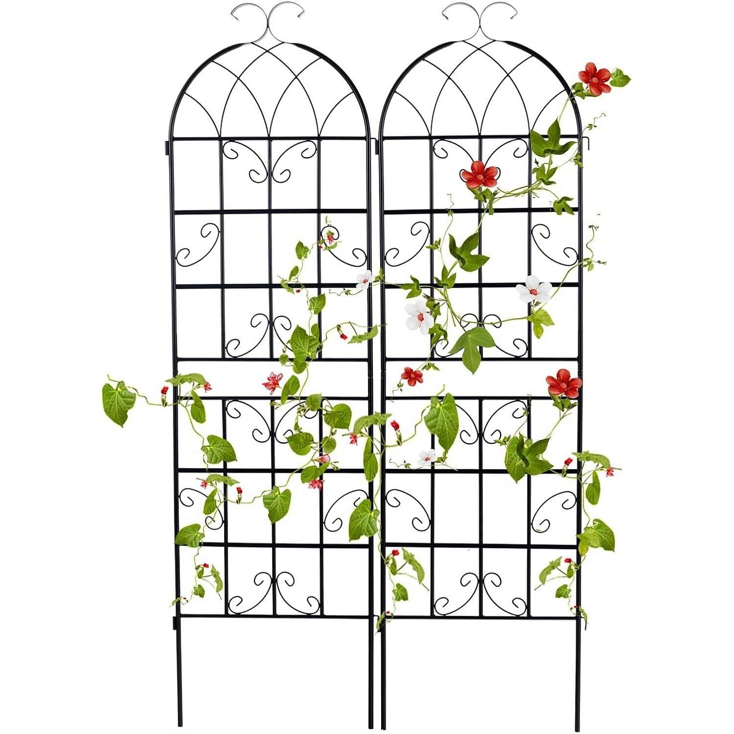Set of 2 - 6-Ft Heavy Duty Outdoor Galvanized Metal Garden Trellis - Free Shipping