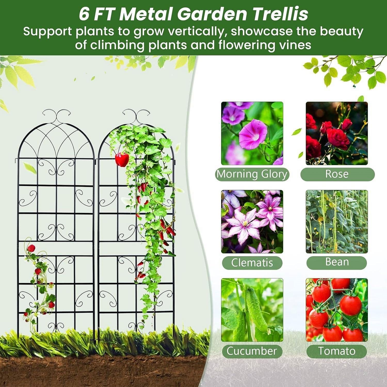 Set of 2 - 6-Ft Heavy Duty Outdoor Galvanized Metal Garden Trellis - Free Shipping