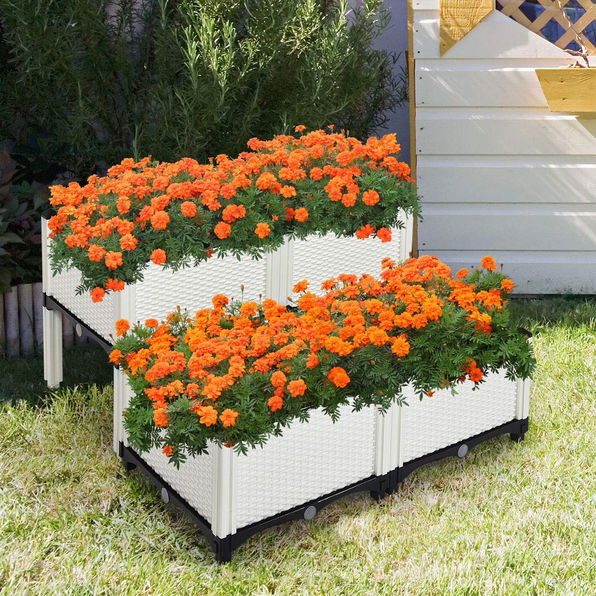Set of 4 Raised Garden Bed Kits